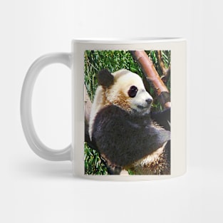 Panda in Tree Mug